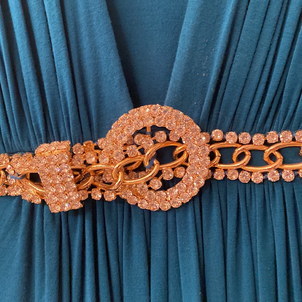 NWT SKY dress with jeweled belt attached. Great for you or a ๐ gift! - Picture 6 of 8